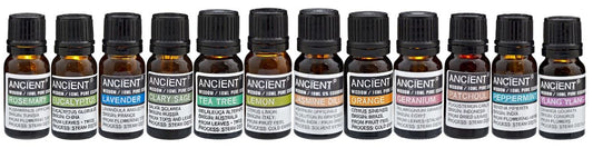 Top 12 Aromatherapy Box (Box of 12 Oils)