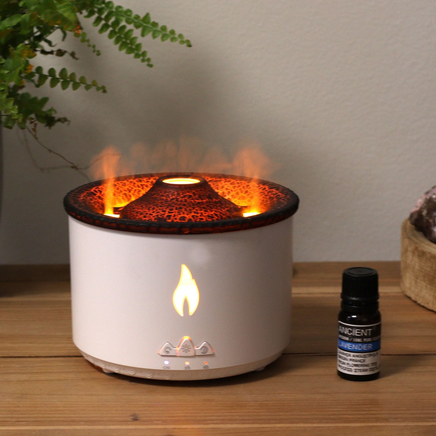 Electric and natural Reed Diffusers